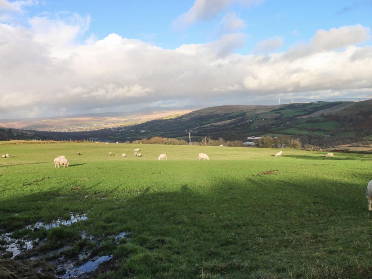 Nant Moel Isaf Farm *