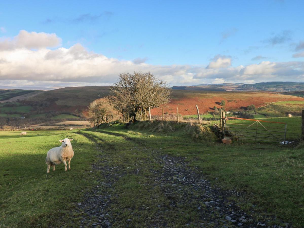 Nant Moel Isaf Farm *
